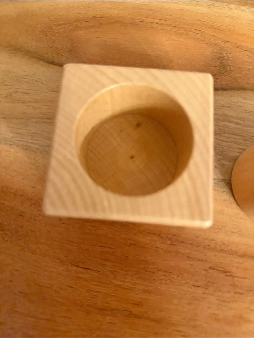 Lovevery pincer 2 pc puzzle from the thinker play set from 11 months Montessori